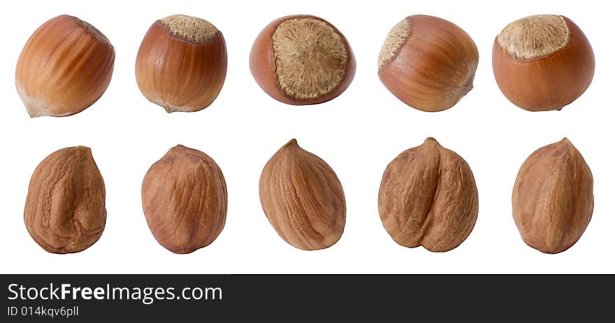 10 filberts (nuts) on white background (isolated).