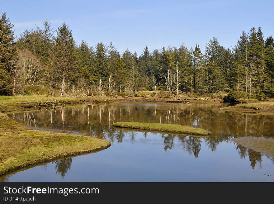 Small pond near beaches with clear blue sky and clouds and reflection