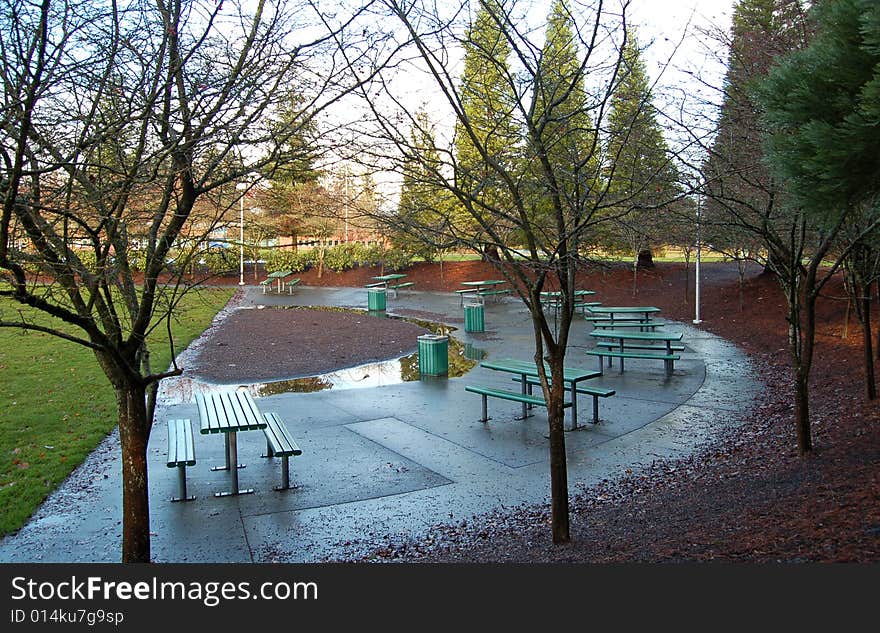 Benches in the park after rain in autumn