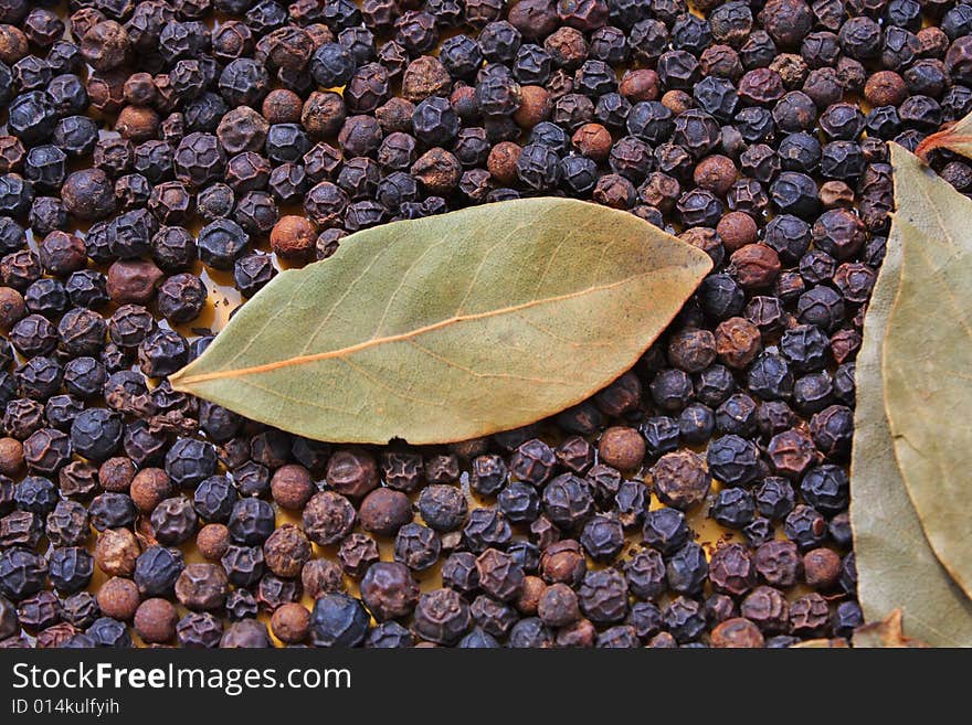 Close up of the laurel leaf and black pepper. Close up of the laurel leaf and black pepper.