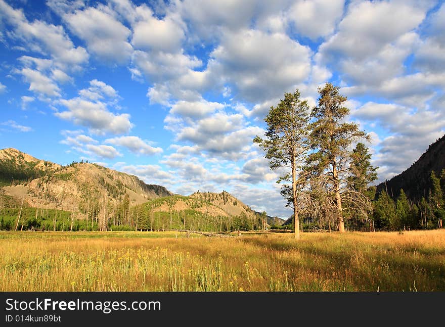 The scenery of Yellowstone National Park in Wyoming