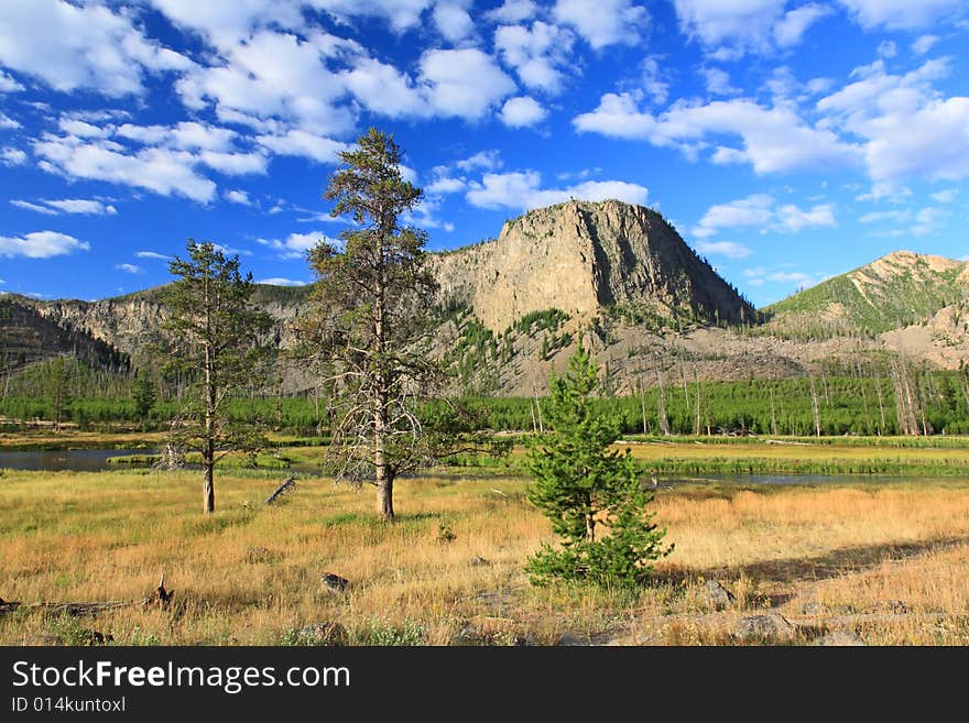 The scenery of Yellowstone National Park in Wyoming