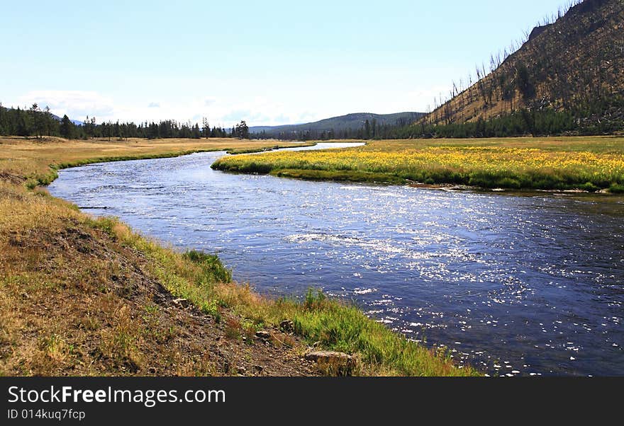 The scenery of Yellowstone National Park in Wyoming