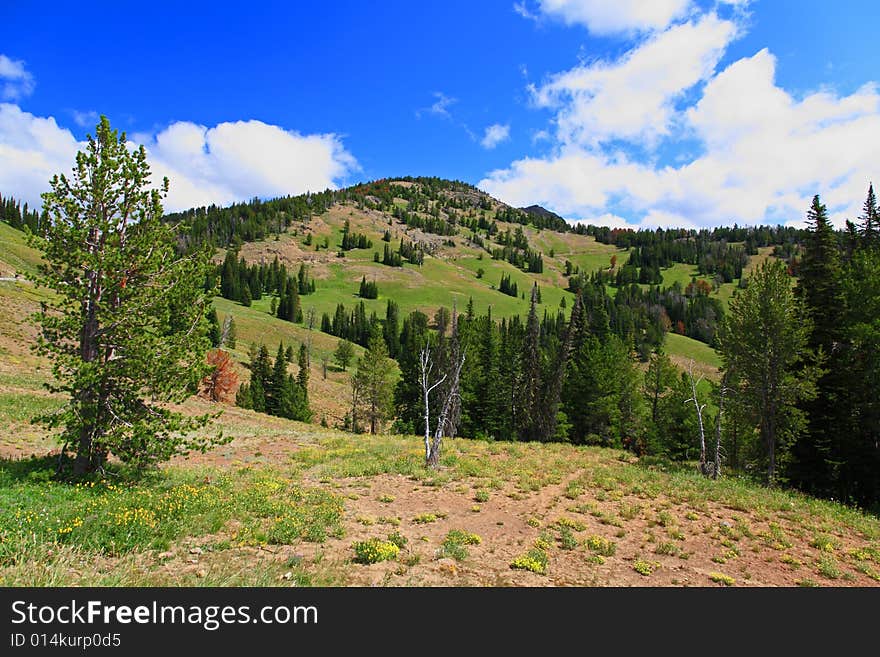 The scenery of Yellowstone National Park