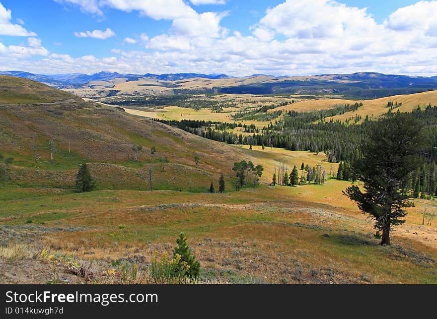 The scenery of Yellowstone National Park