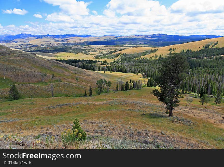 The scenery of Yellowstone National Park in Wyoming