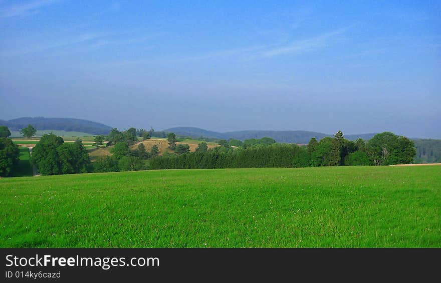 Wide Open Field