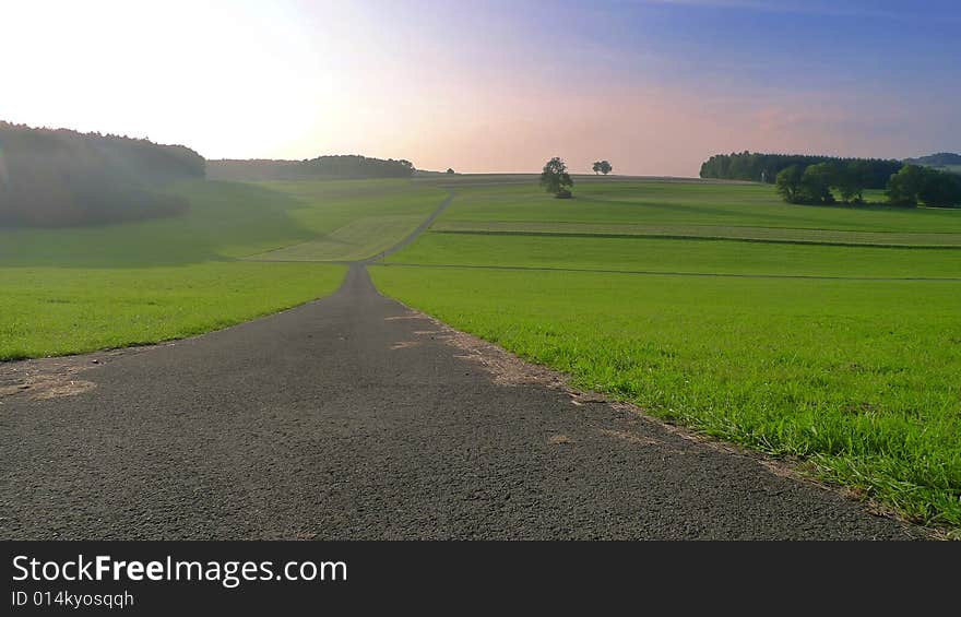 Wide open Field