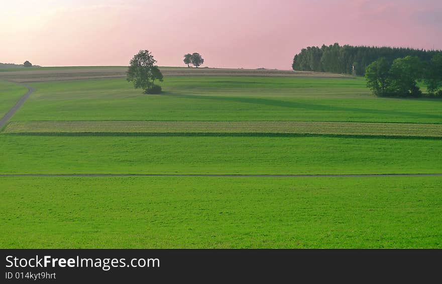 Wide Open Field