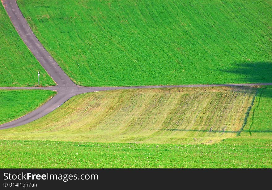 Landscape