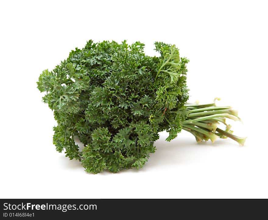 A large bunch of green parsley against white background.