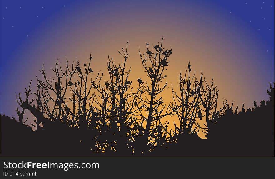 Silhouette tree with bird on sundown