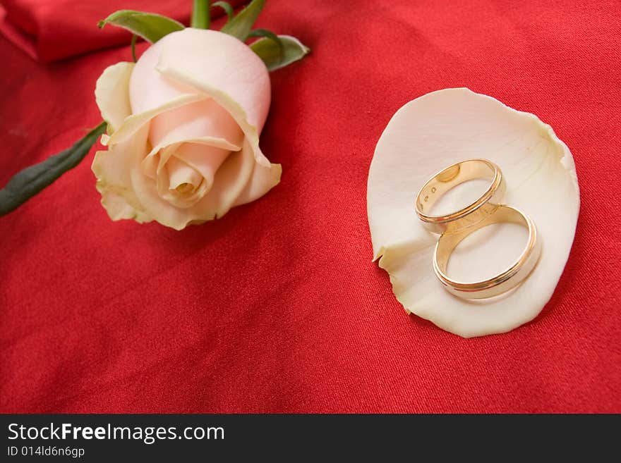 Wedding rings and beautiful rose