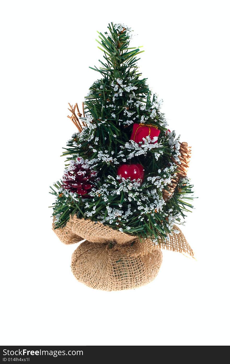 Small Christmas tree photo on the white background. Small Christmas tree photo on the white background