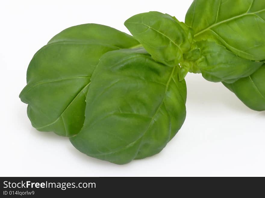 Fresh basil