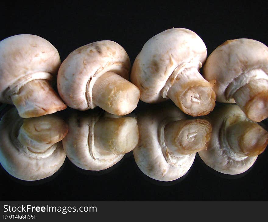 White button mushrooms lined up on a black background. White button mushrooms lined up on a black background