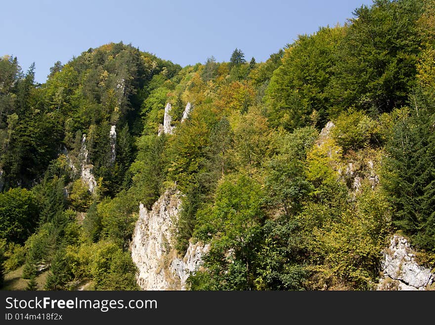 Autumn In Carpathian