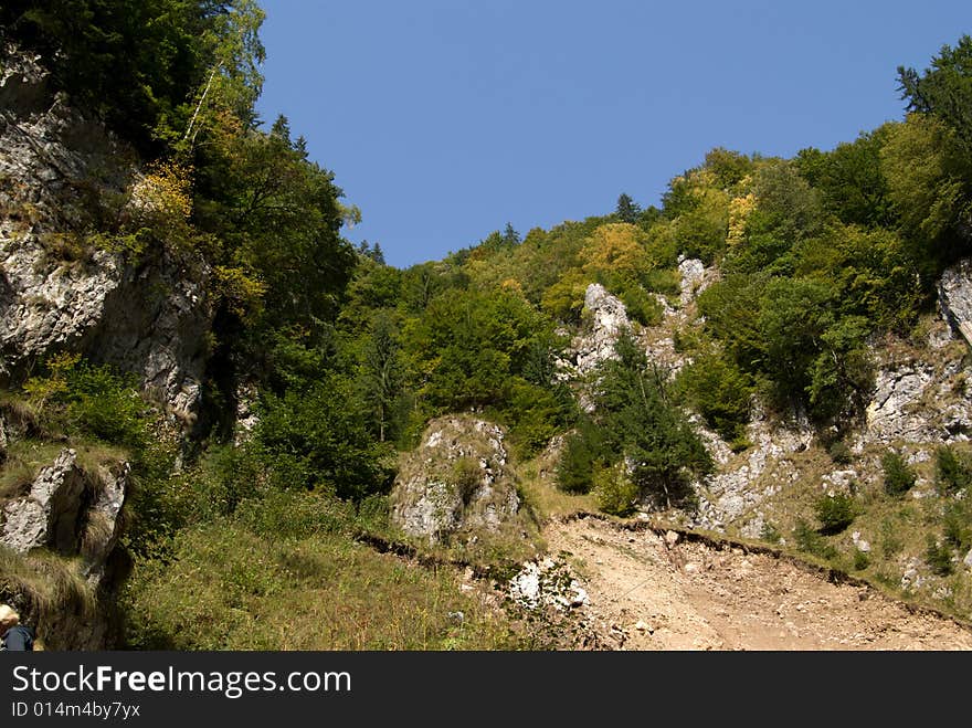 The Carpathian Mountains