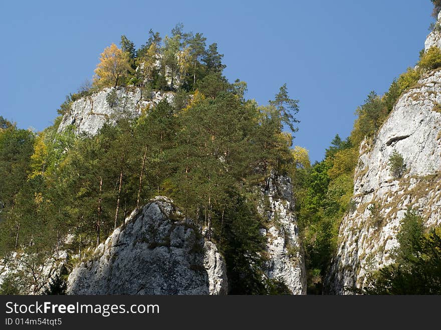 Carpathian Mountains