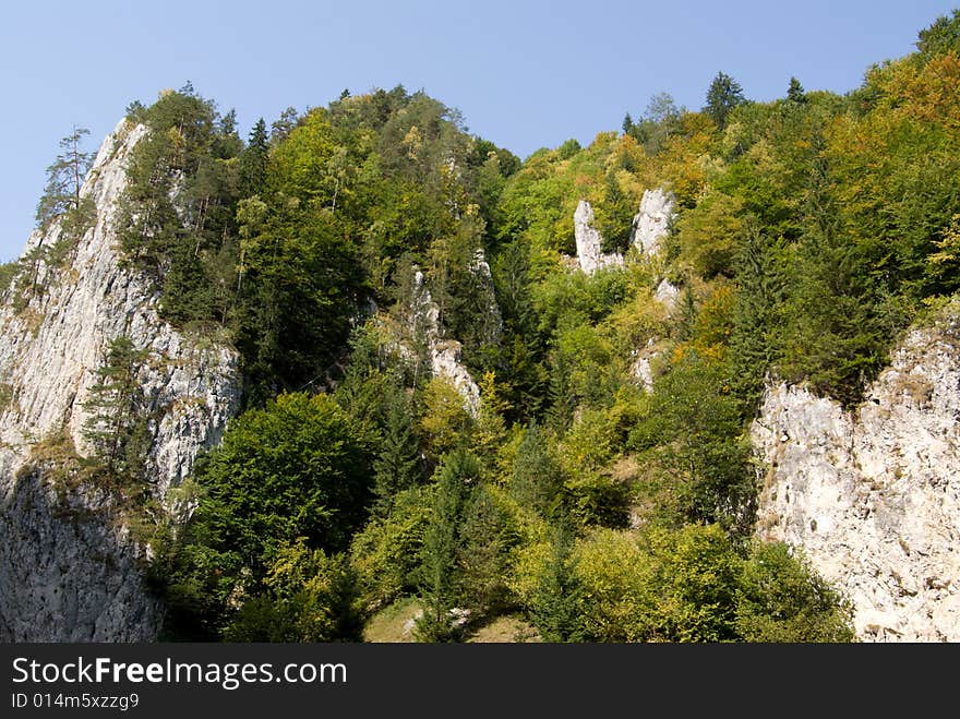 Carpathian mountains