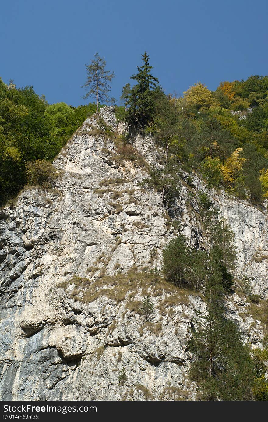 Autumn in mountains