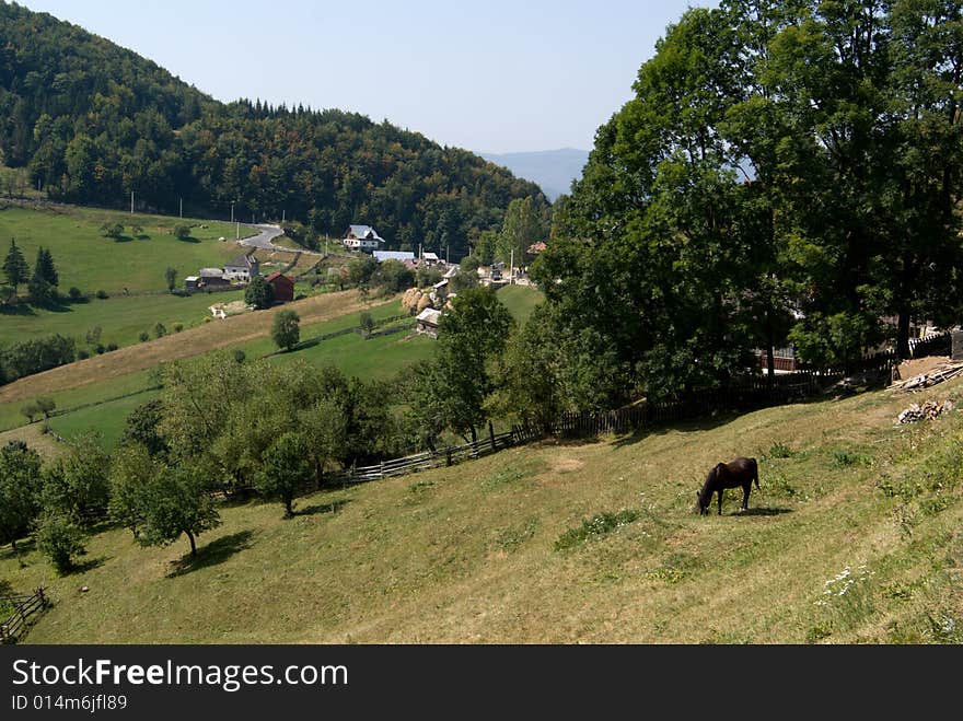 Summer mountainous green glade