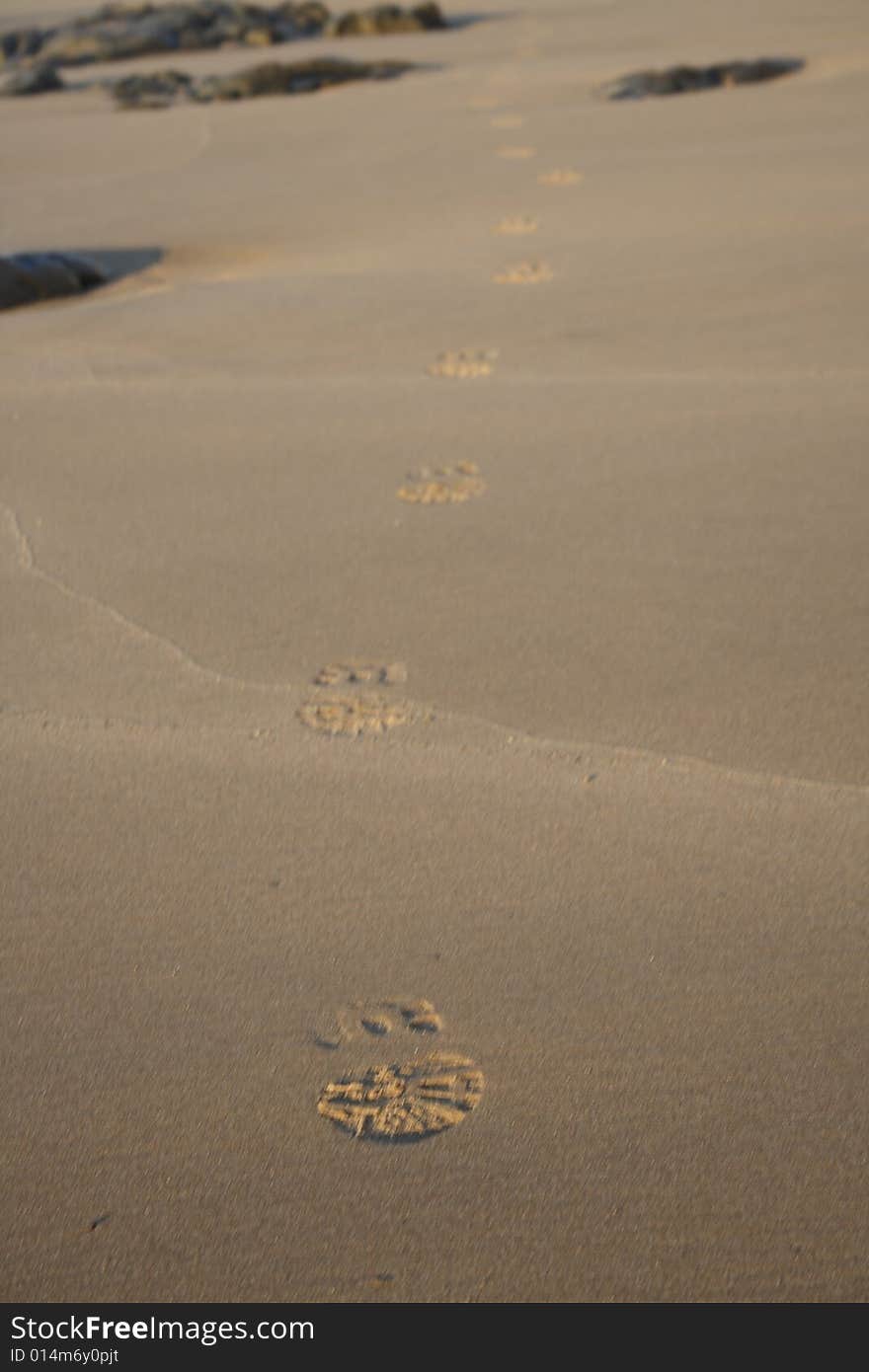 Shoeprints in the sand on beach. Shoeprints in the sand on beach