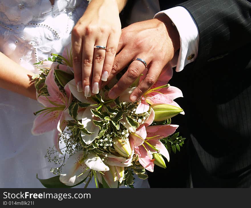 Hands of the groom and bride