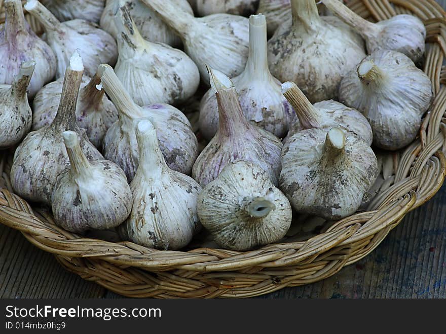 Fresh garlic in wooden basket hand made