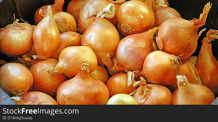 Orange Onions Background