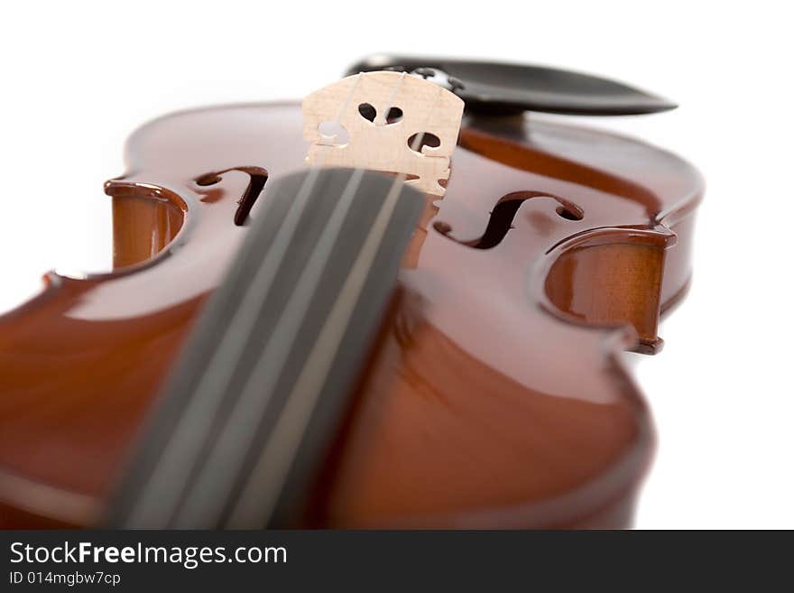 Violin