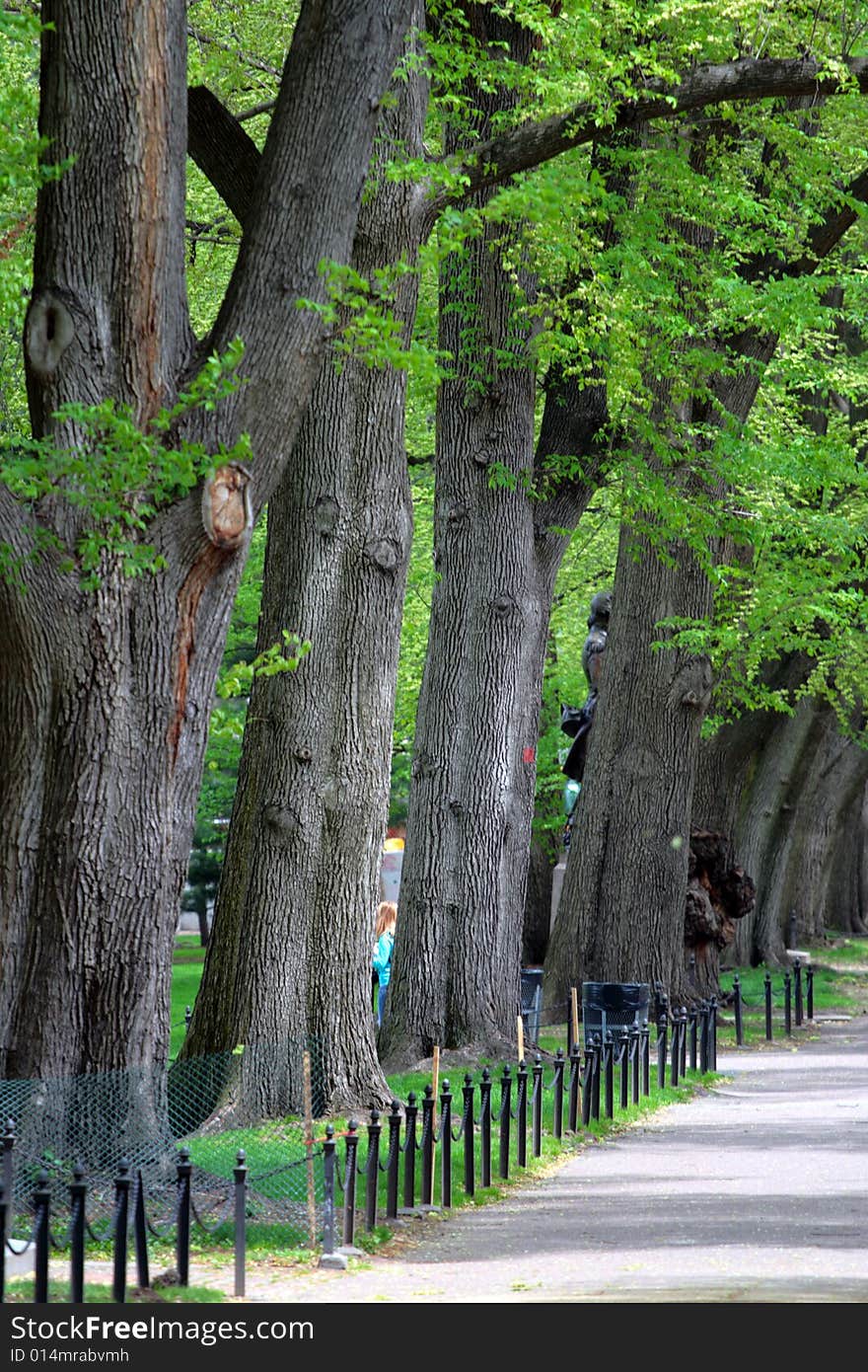 Boston Common and Public Garden, USA