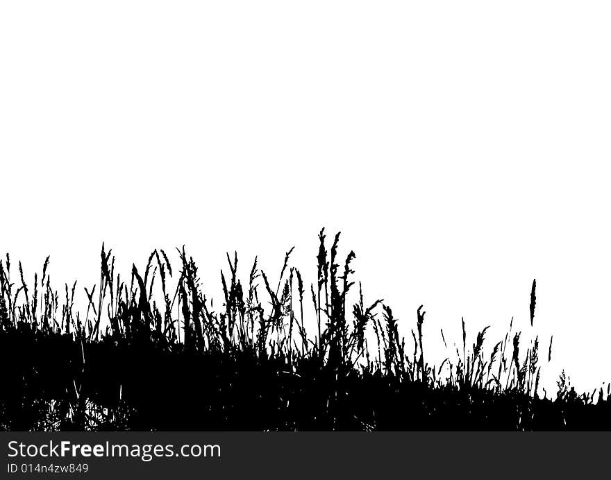 Black floral background. Vector art