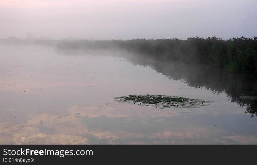 Lake Federsee on a misty morning just after dawn. Lake Federsee on a misty morning just after dawn