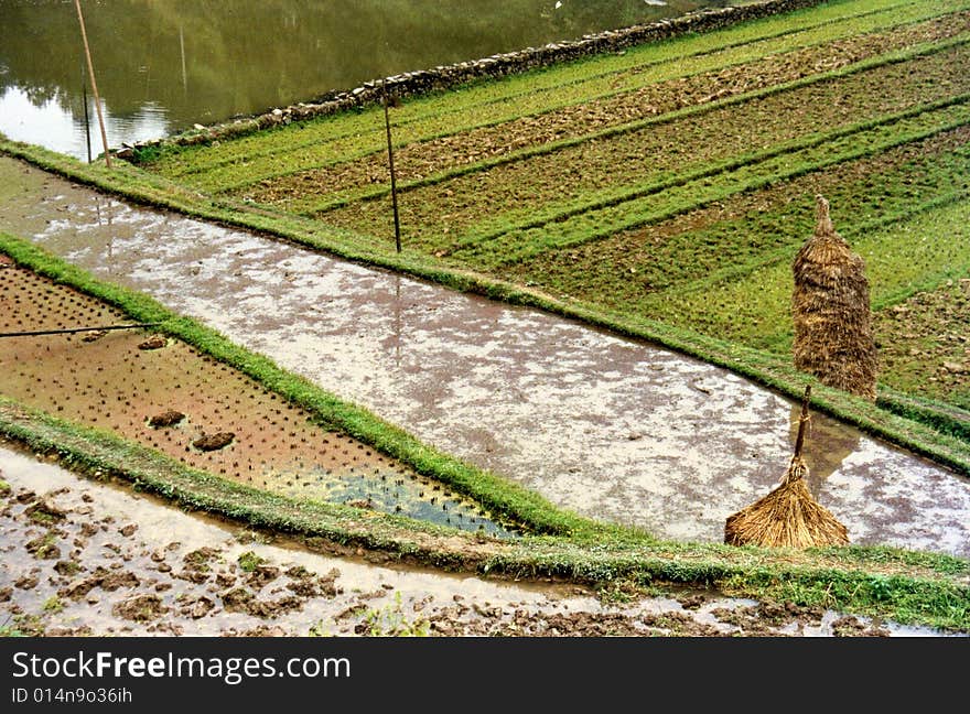 Taken in Guizhou province China. Taken in Guizhou province China