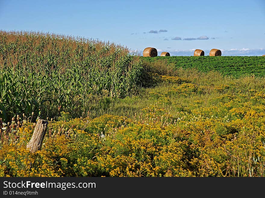 Late summer landscape on a rural farm in central Ontario. Late summer landscape on a rural farm in central Ontario