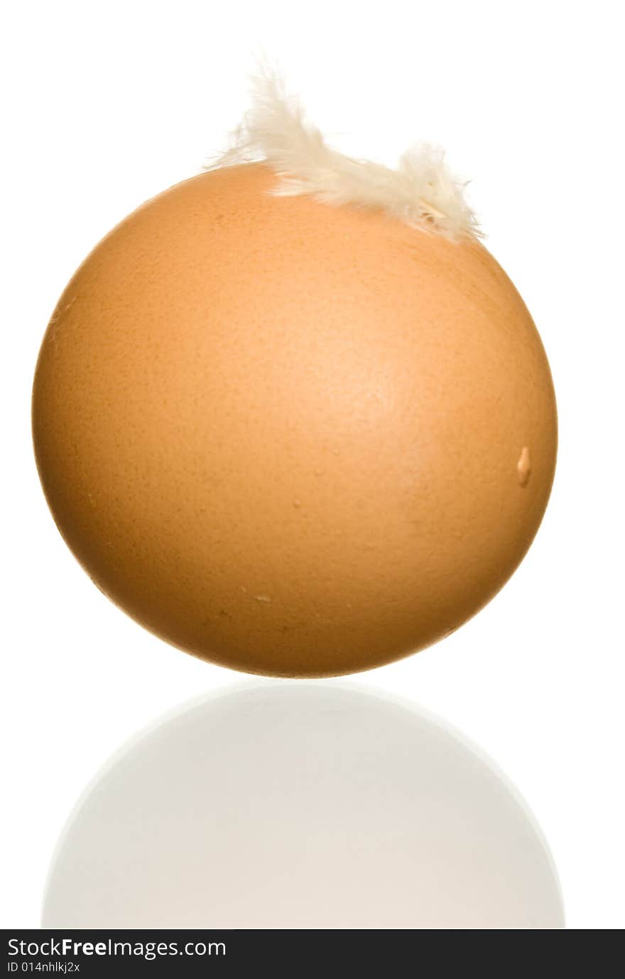 Egg with feather