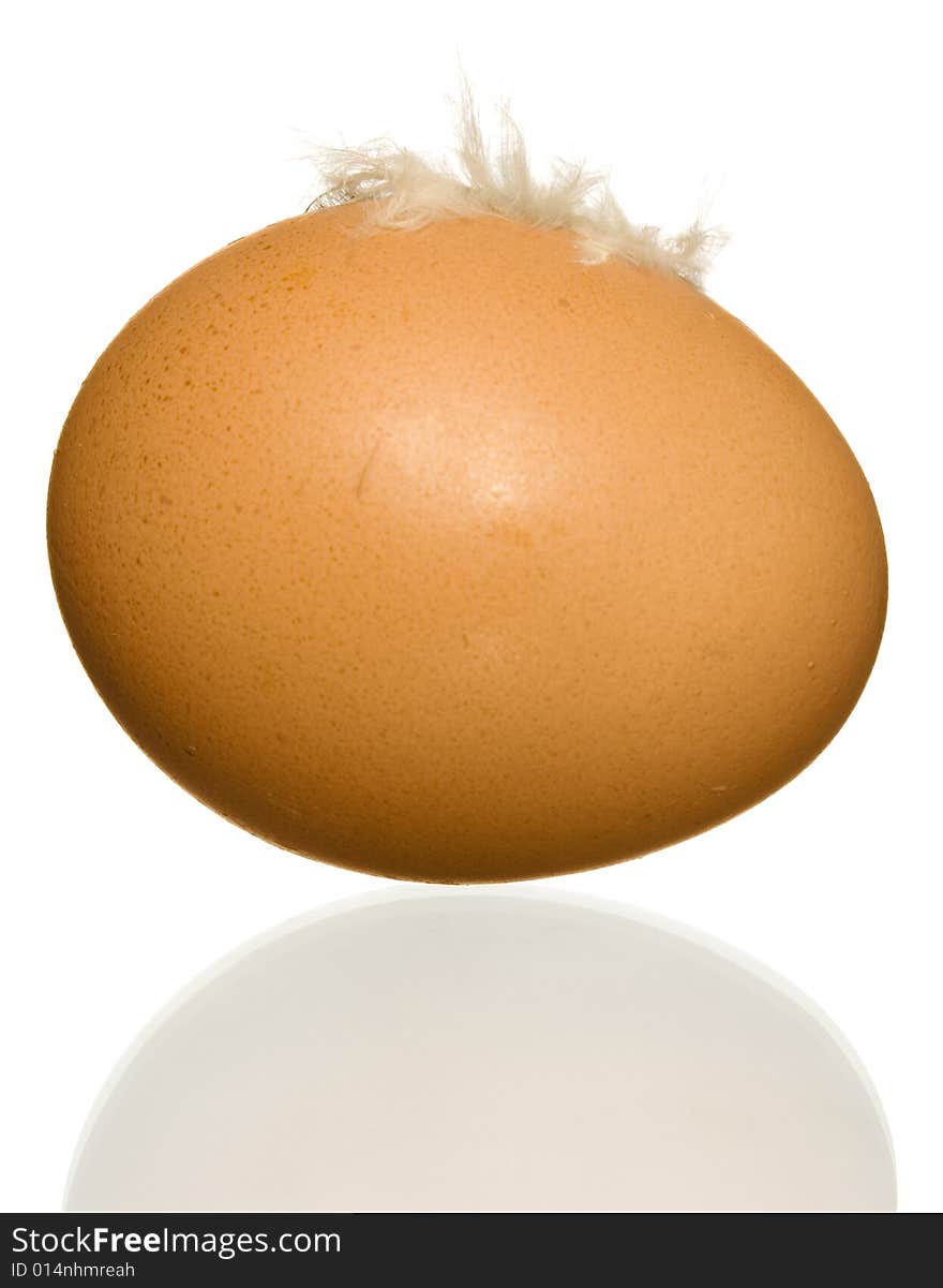 Egg With Feather