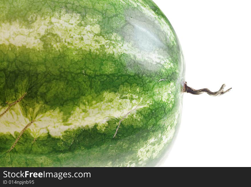 Melon isolated on white background. Melon isolated on white background.