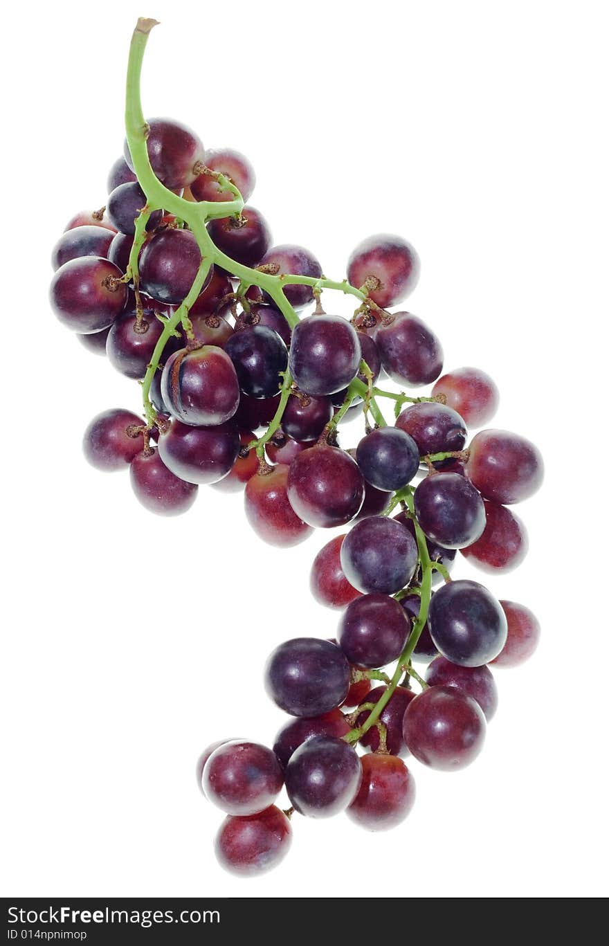 Grape cluster isolated on white background