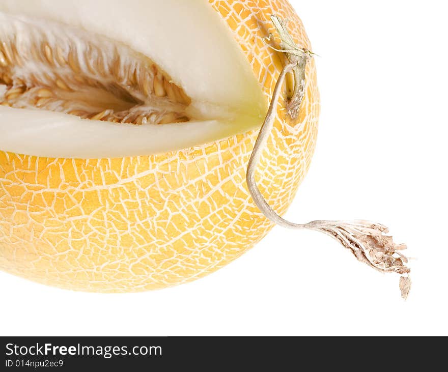 Melon isolated on white background.