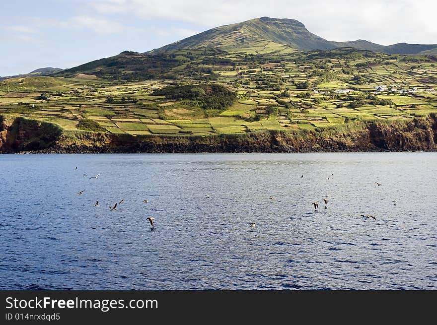 Rural landscape, Pico island, Azores