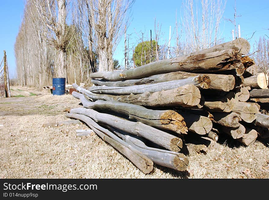 Posts in a patagonian farm on winter. Posts in a patagonian farm on winter