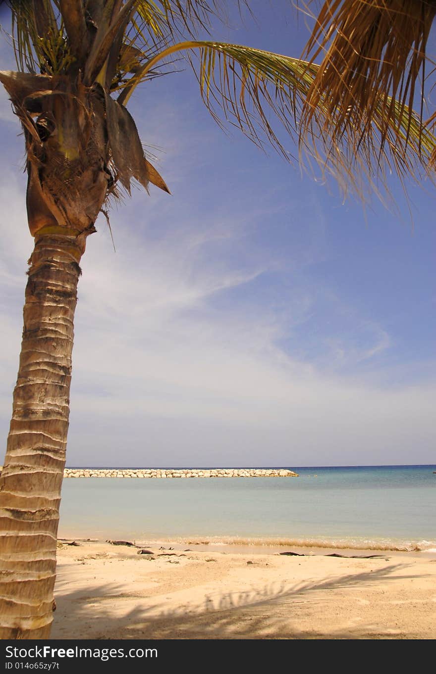 Tropical ocean beach with calm water