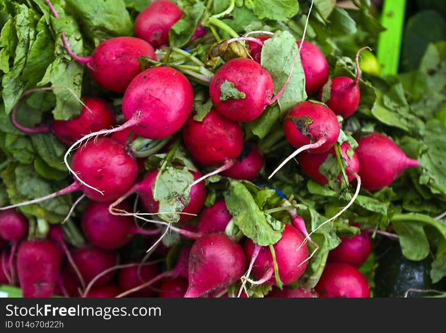 Bunch of Radishes