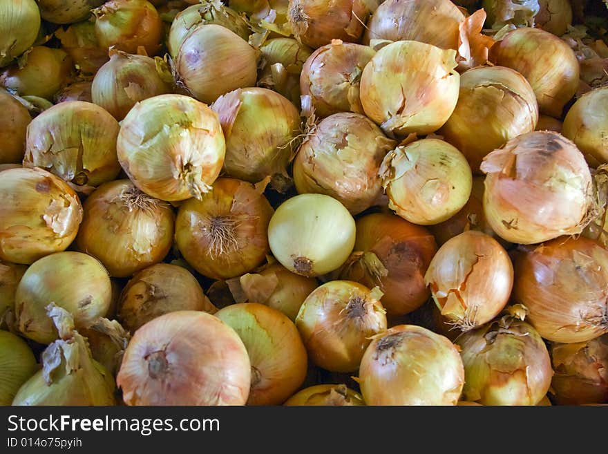 Bin of onions at a local farmers' market.