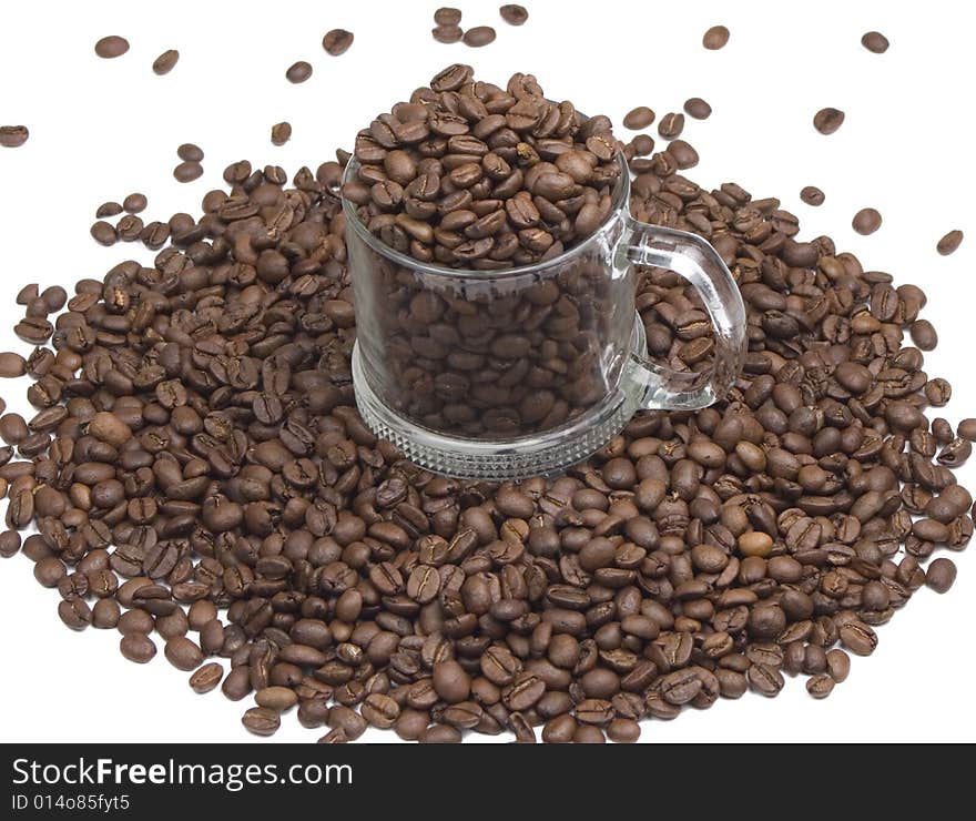 Coffee Beans in Cup on White Background. Coffee Beans in Cup on White Background