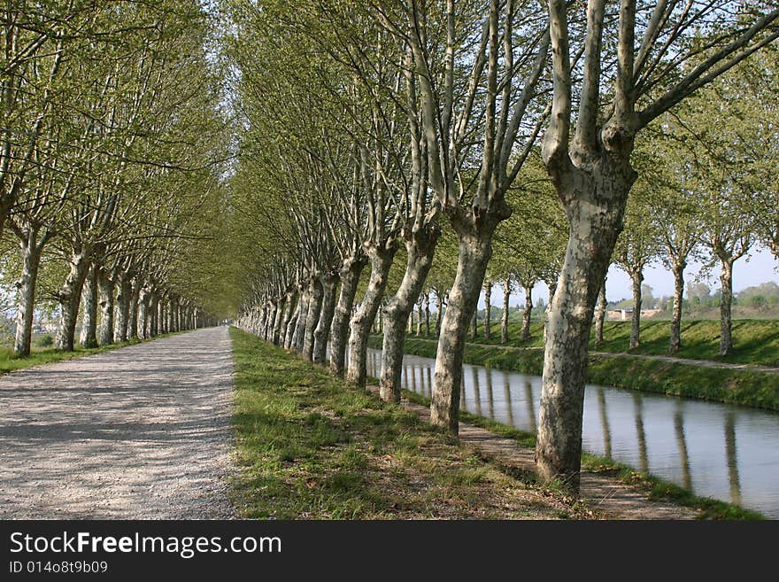 Canal reflections