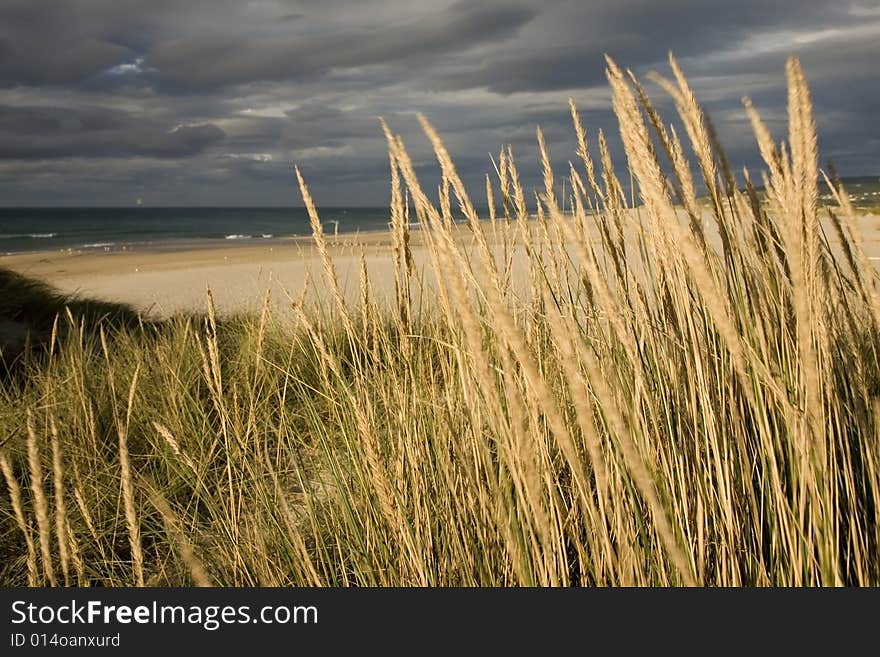 Cloudy Beach