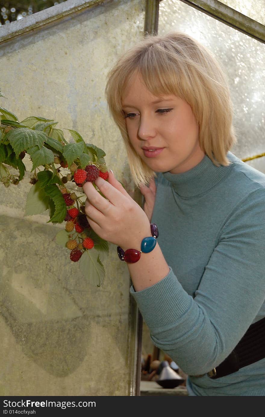 Attractive Girl Tending Rasberries